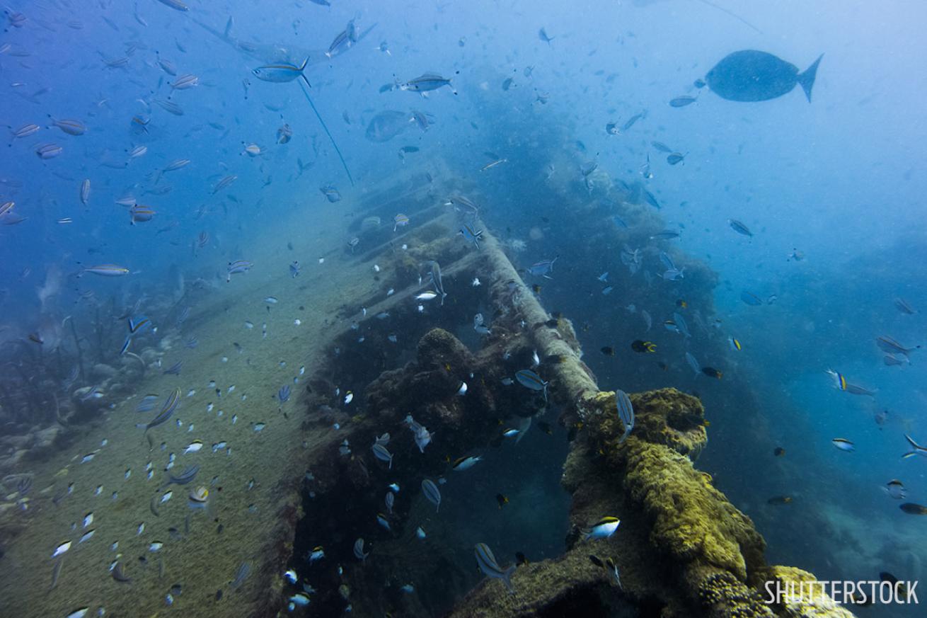Yongala shipwerck dive site Australia underwater photo