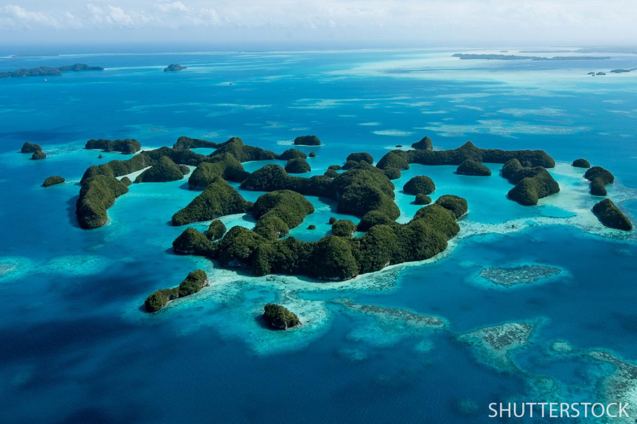 scuba diving palau