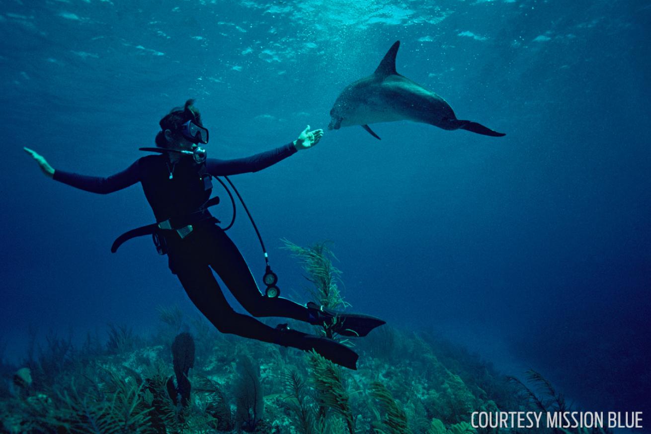 mission blue sylvia earle scuba diver dolphin