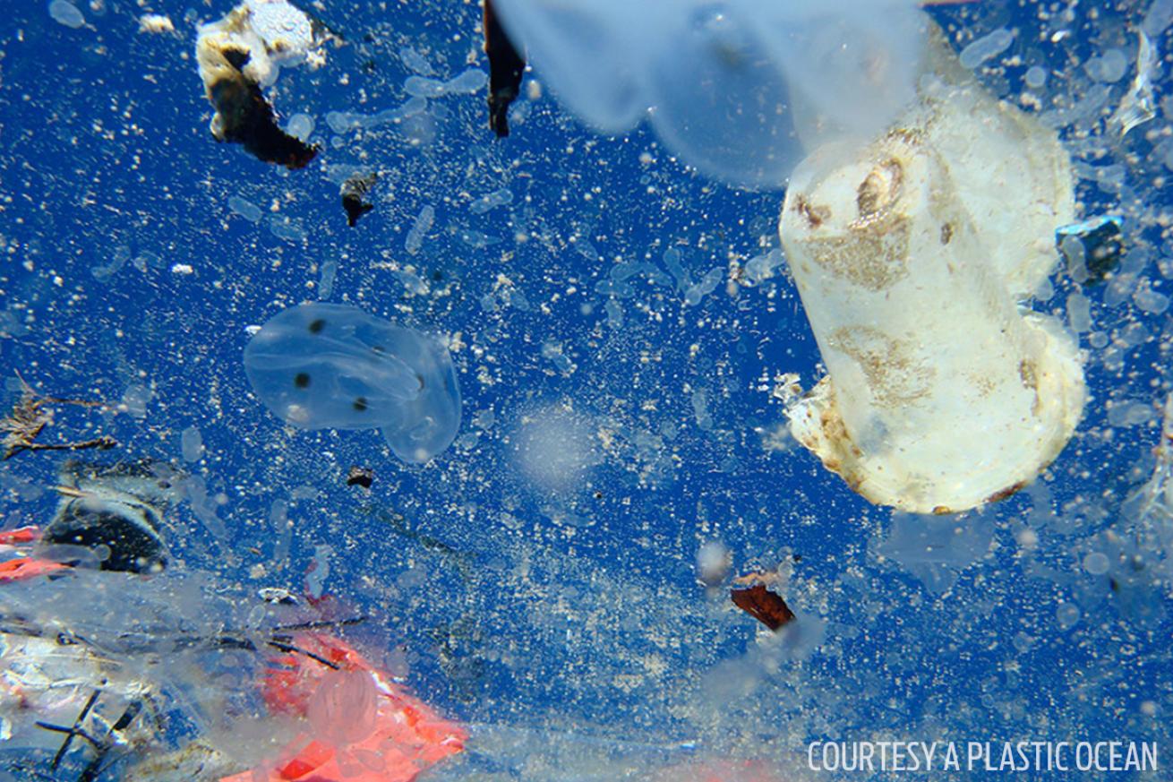 a plastic ocean pollution