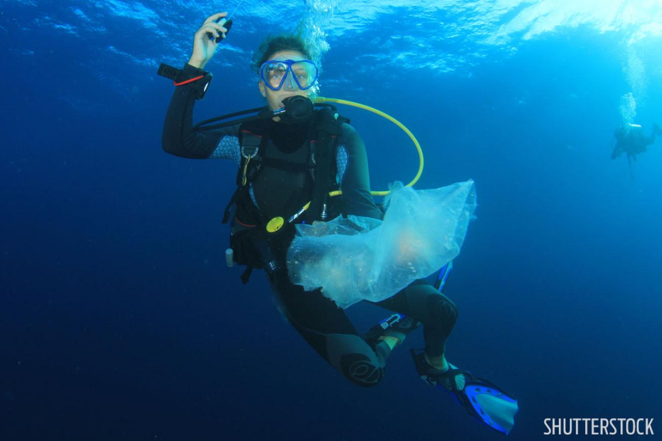 diver removes plastic bag from ocean 