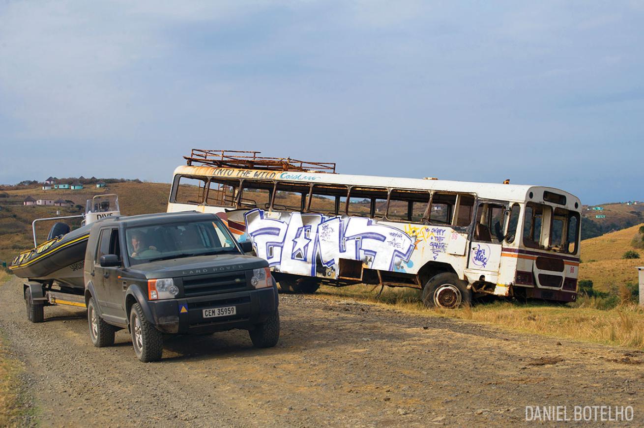 sardine run south africa
