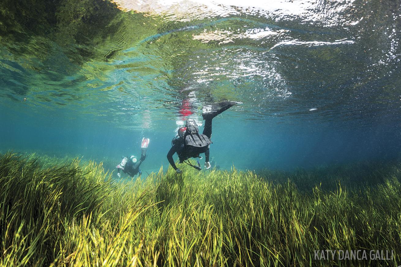 Scuba divers swimming in Florida&#039;s Rainbow River