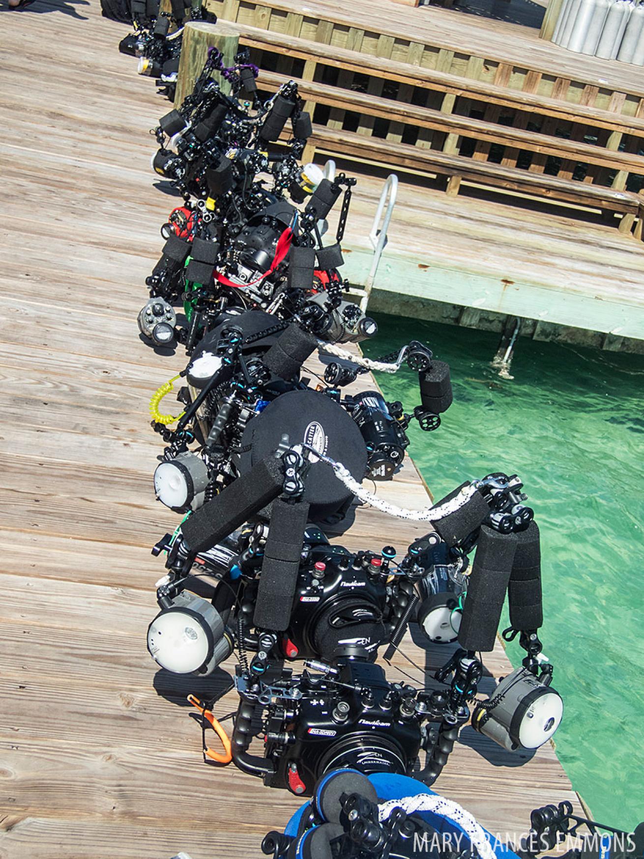 Backscatter underwater photography boot camp