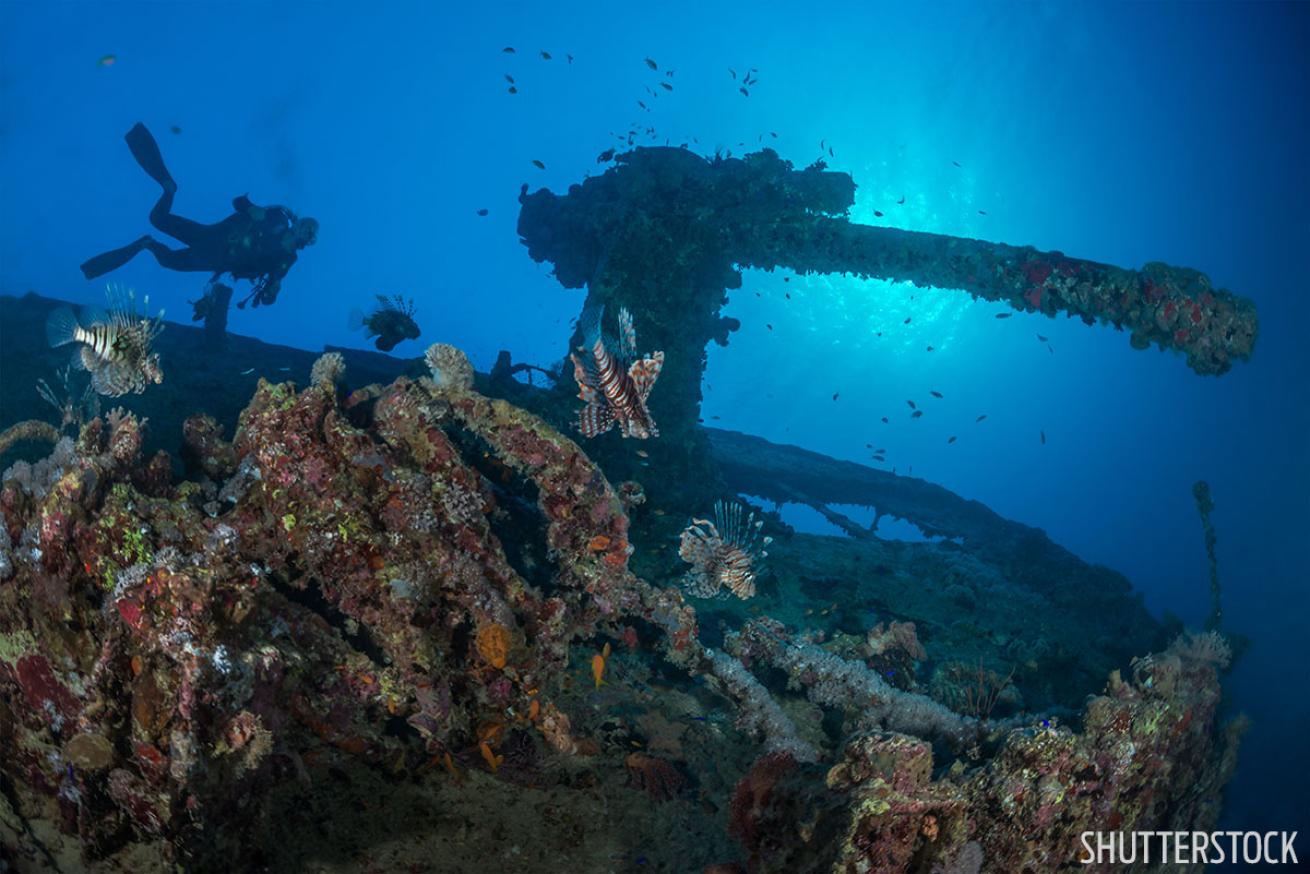 Thistlegorm WWII anti-aircraft gun lionfish shipwreck Red Sea scuba diving