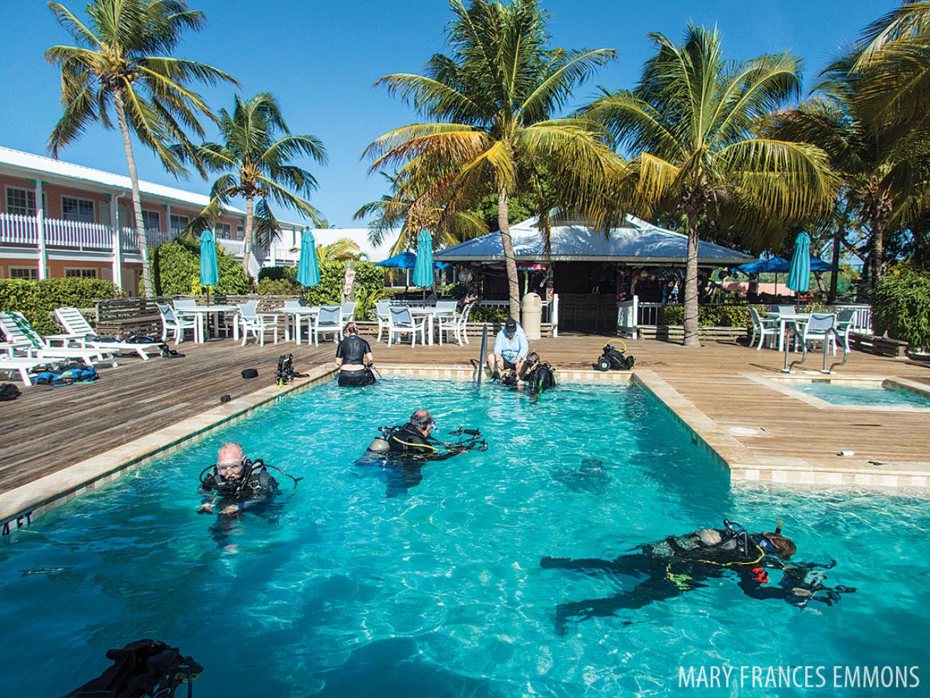 Backscatter underwater photography boot camp