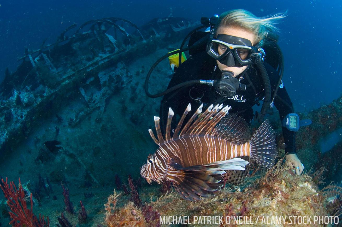 Scuba diver lionfish U-352 submarine wreck North Carolina