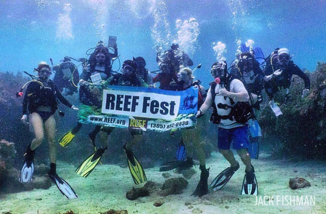 reef fest