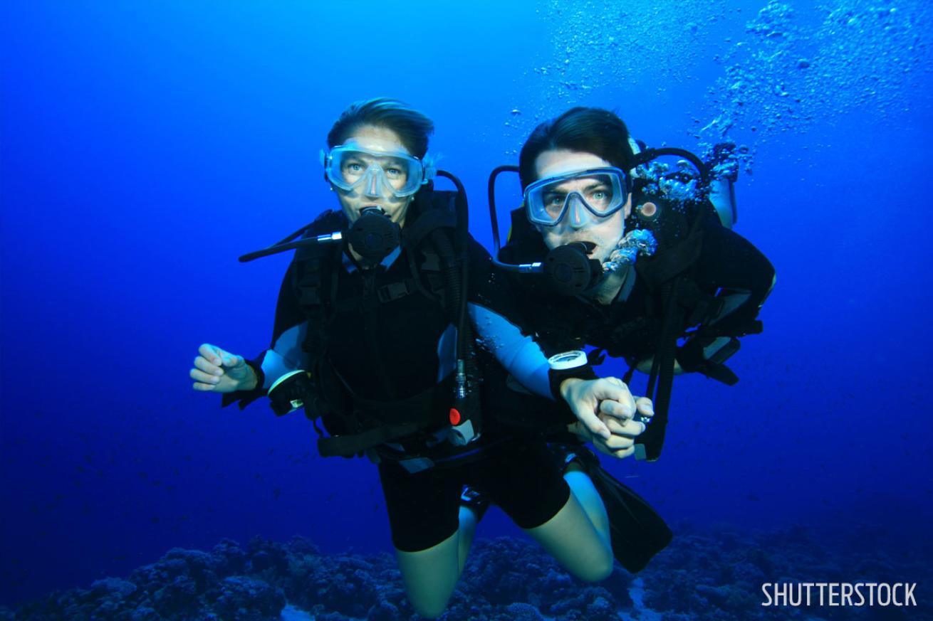 buddy divers