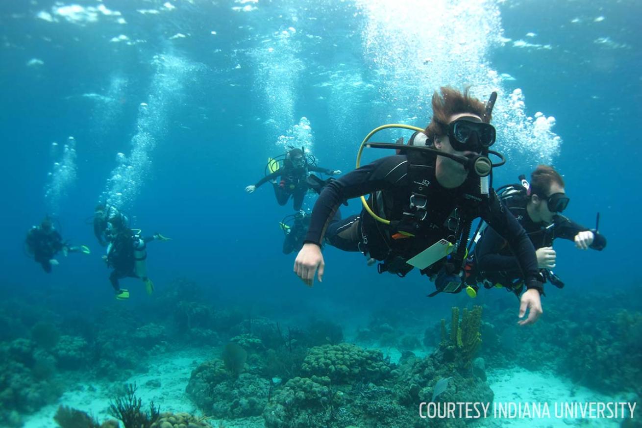 IU academic scuba divers conducts field research