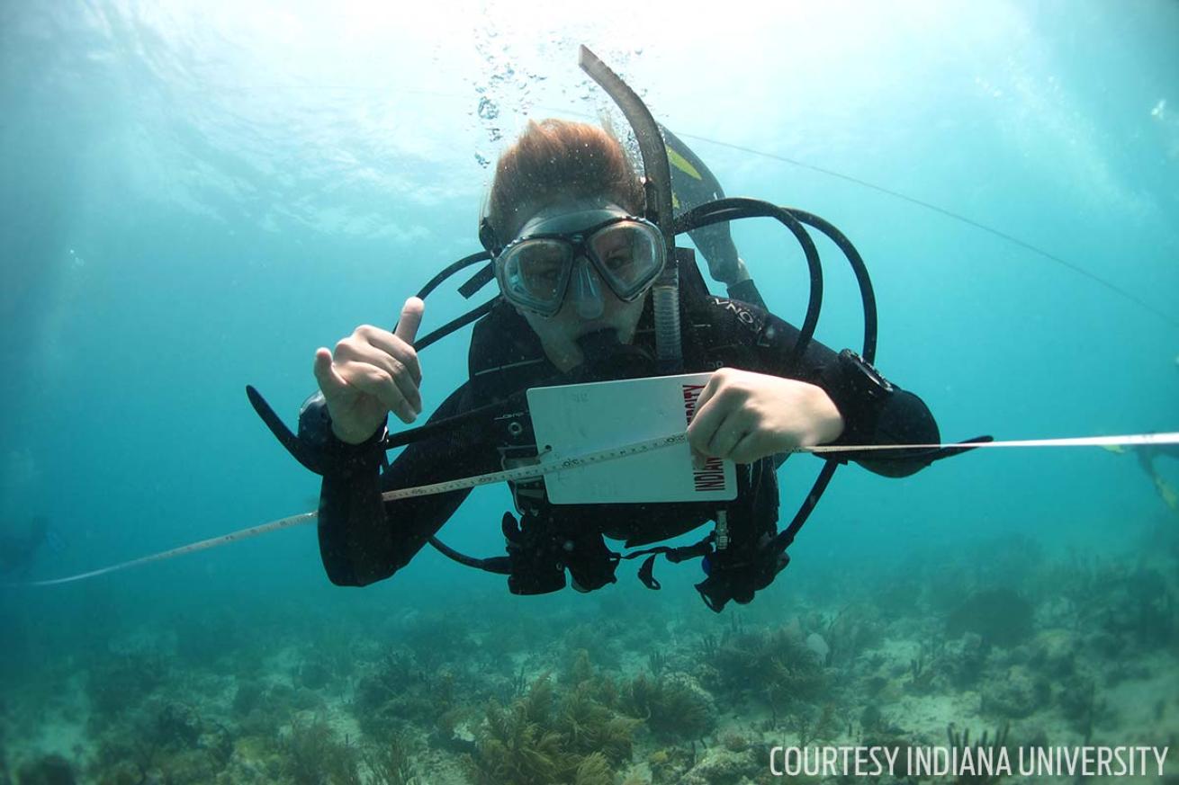 IU academic scuba diver conducts field research