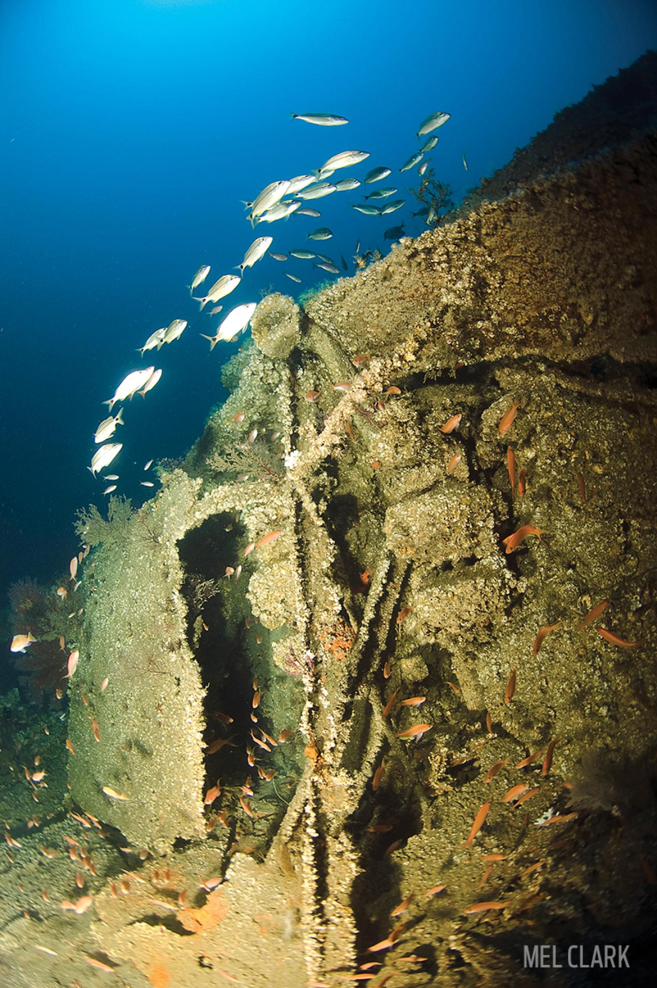 Shipwreck North Carolina