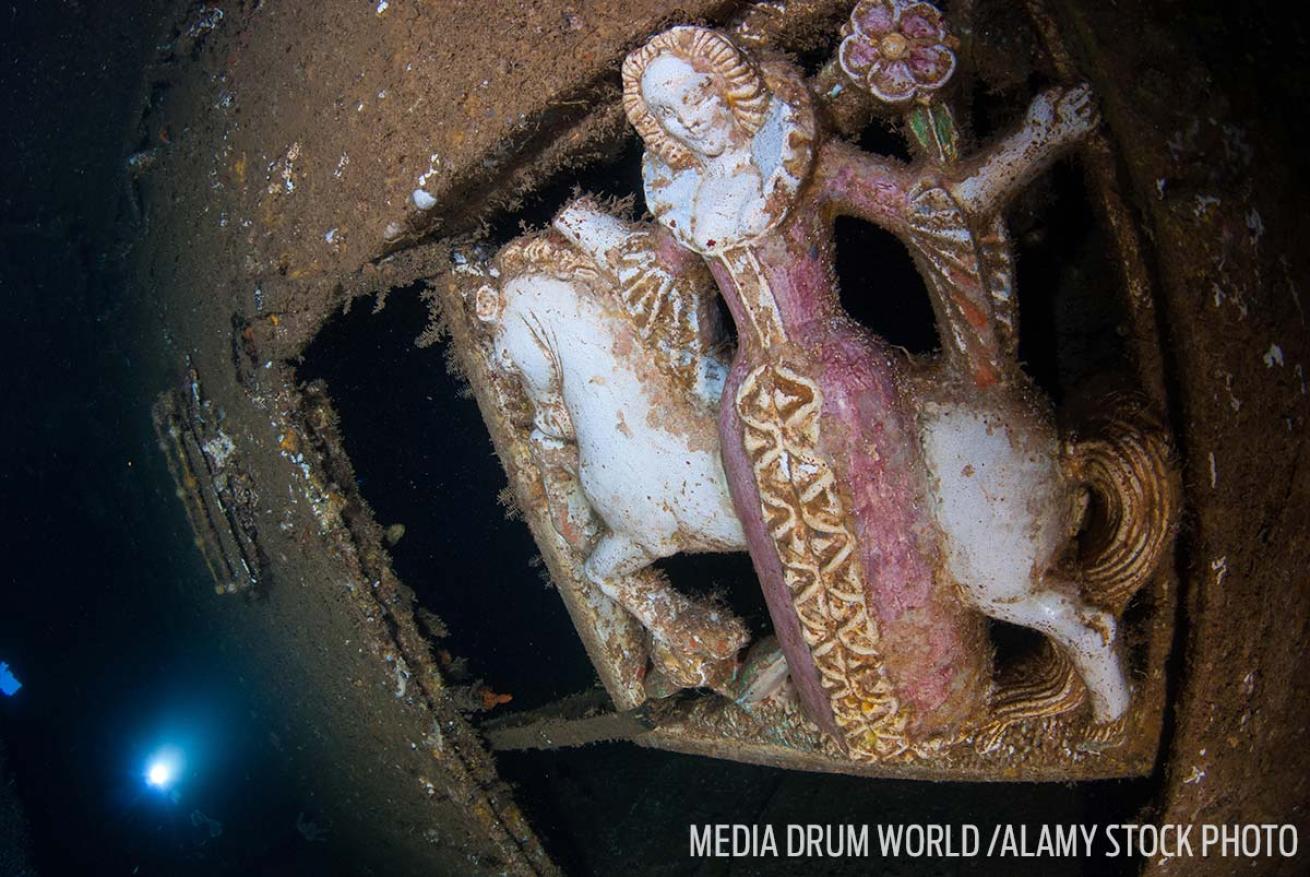 Porcelain Lady and Unicorn panel President Coolidge Shipwreck scuba diving site Vanuatu