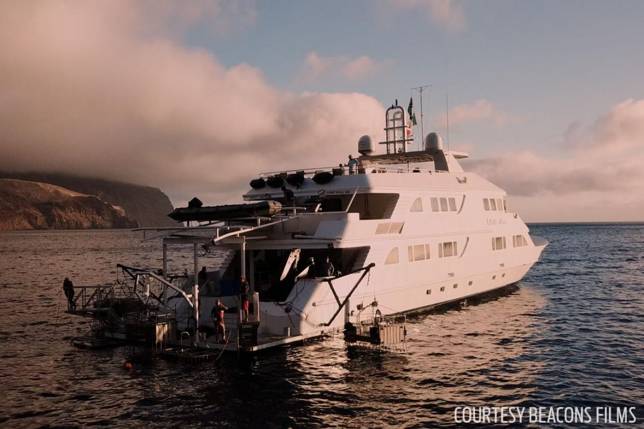 Nautilus Liveaboards Guadalupe