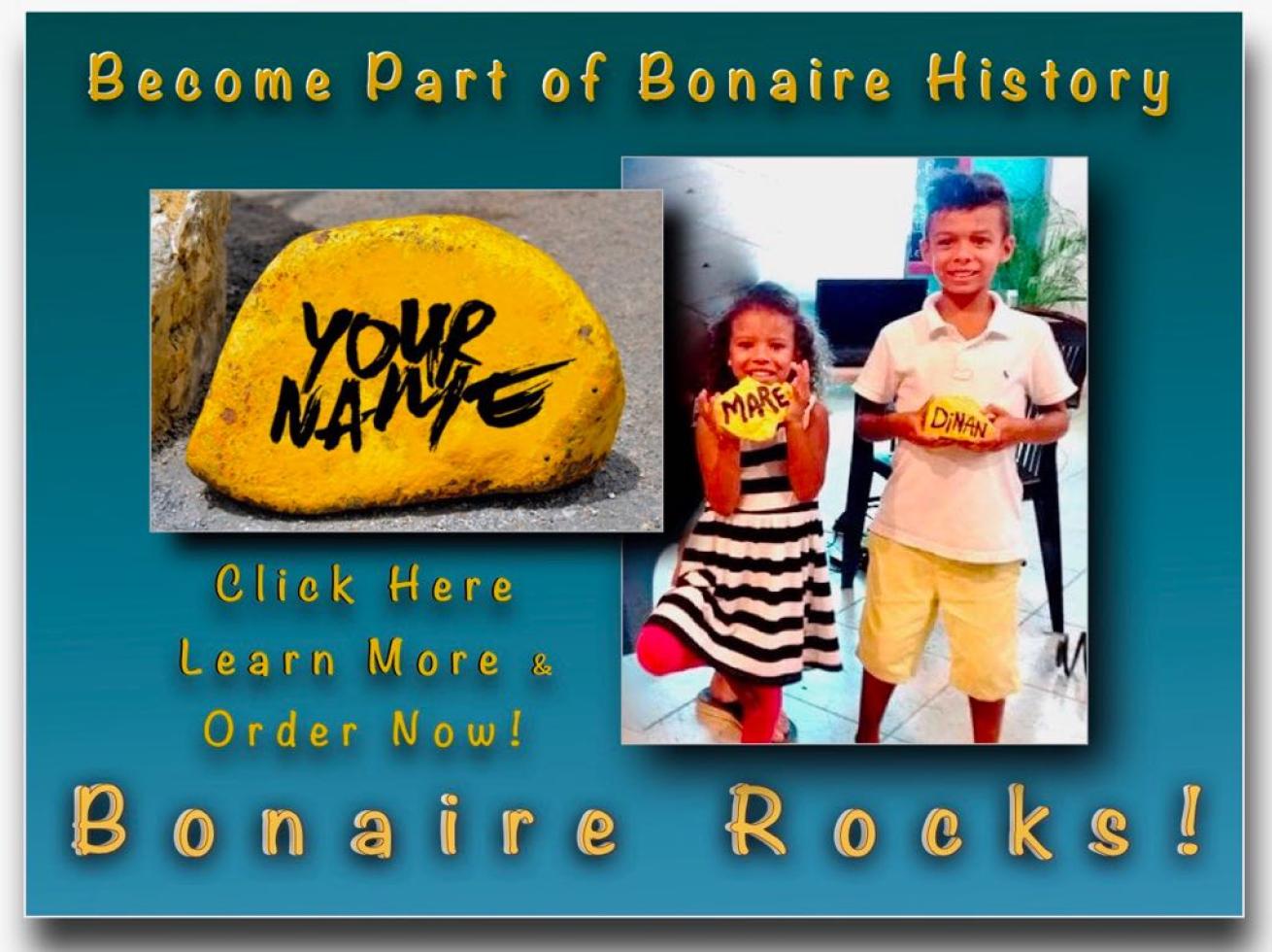 Bonaire Rock Sculpture