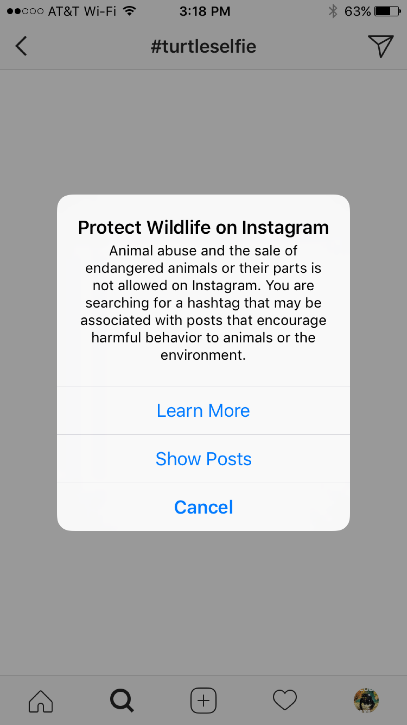 instagram animal abuse notification