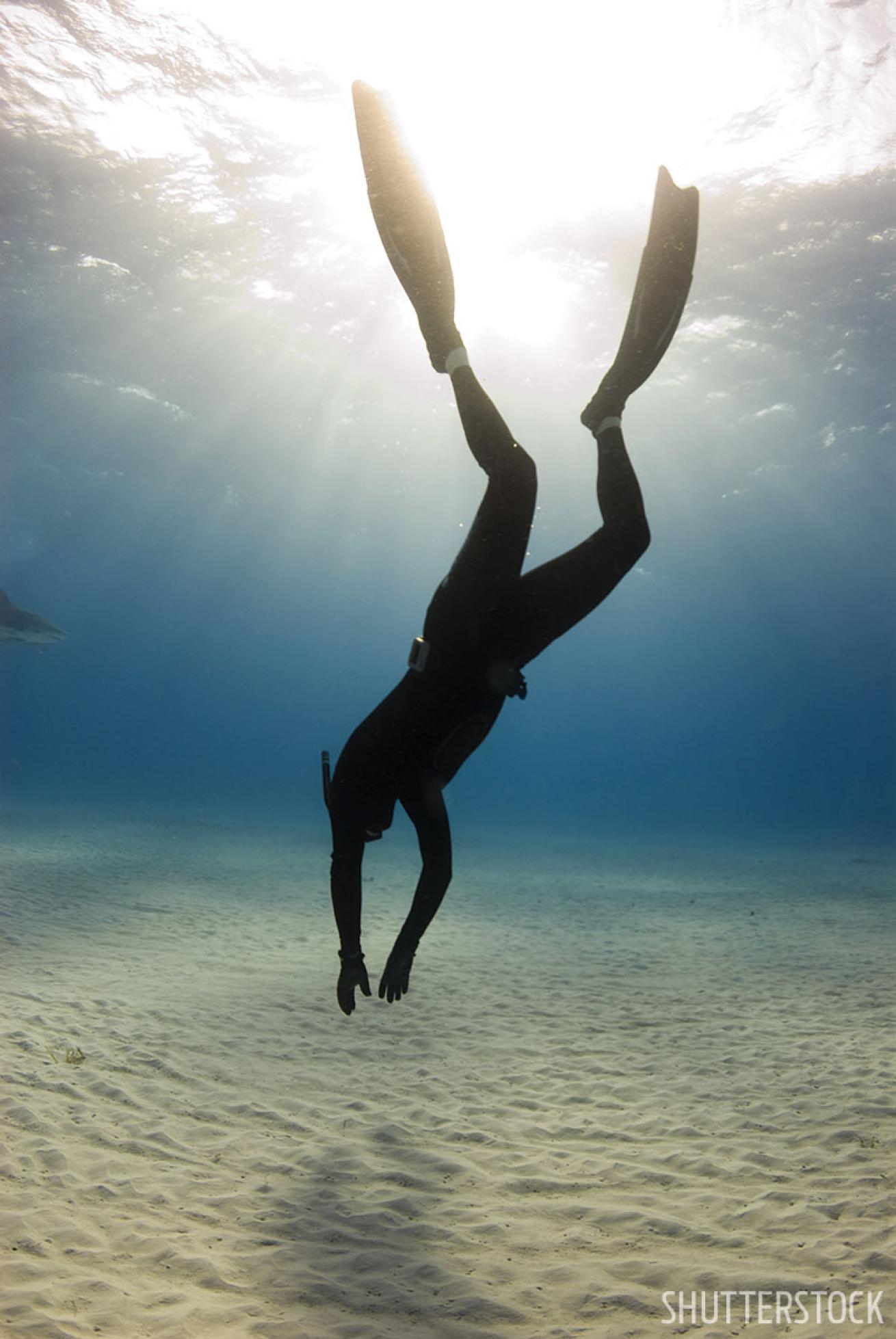 freediving long island bahamas 