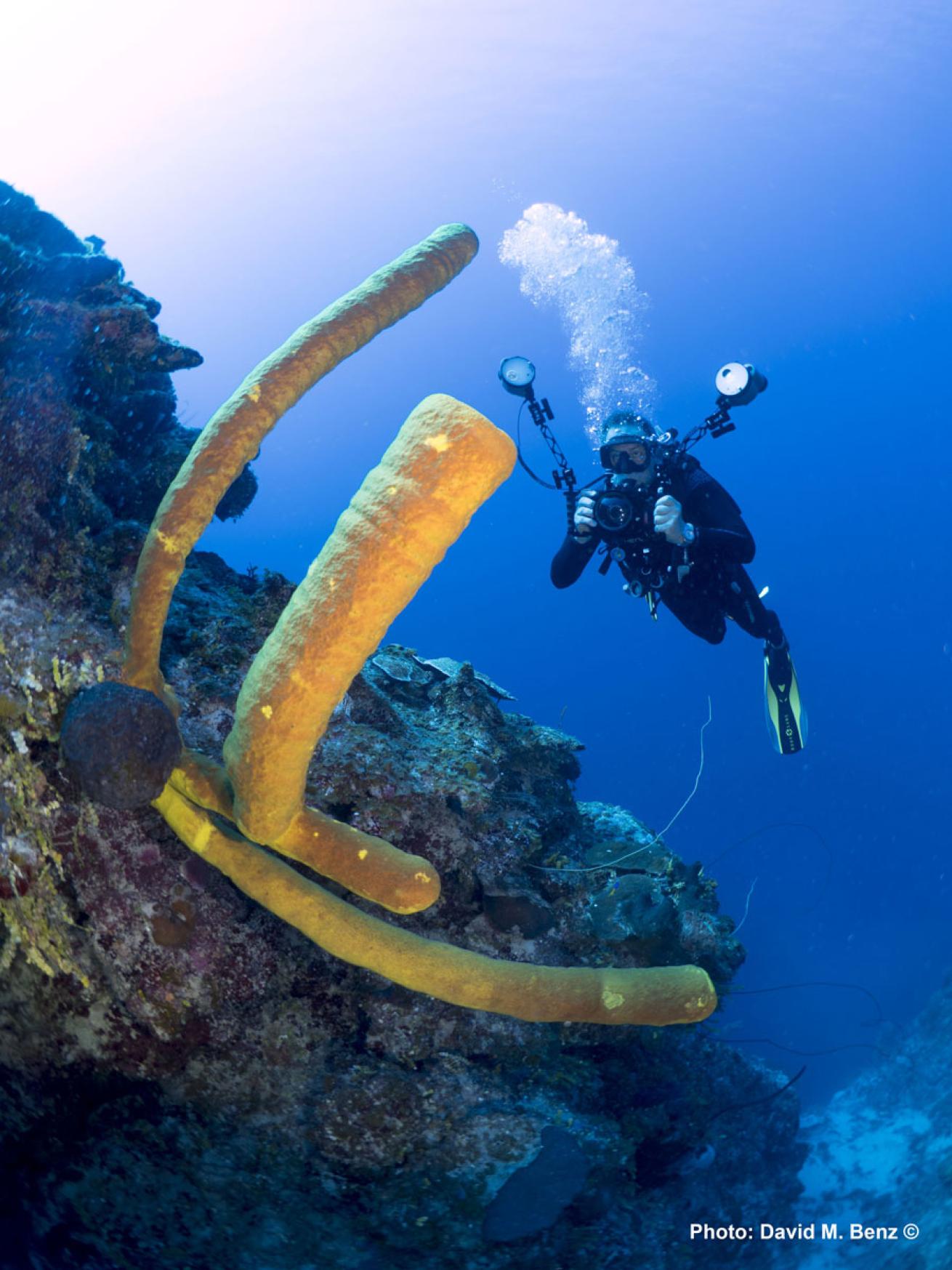 cuba isle of youth scuba diving