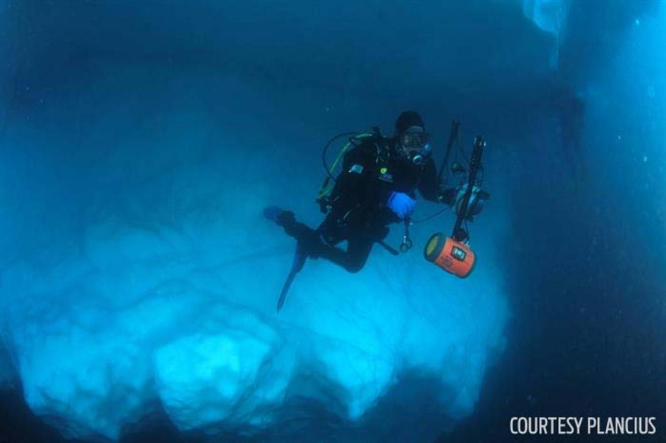 Arctic scuba diving icebergs liveaboard Plancius 