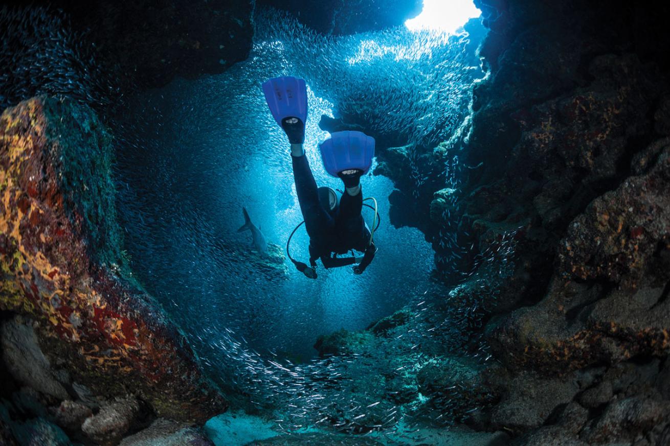 Cave Diver Cayman Islands