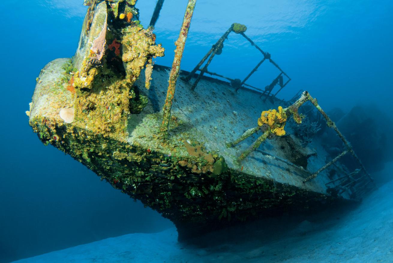 Cayman Islands Shipwreck 