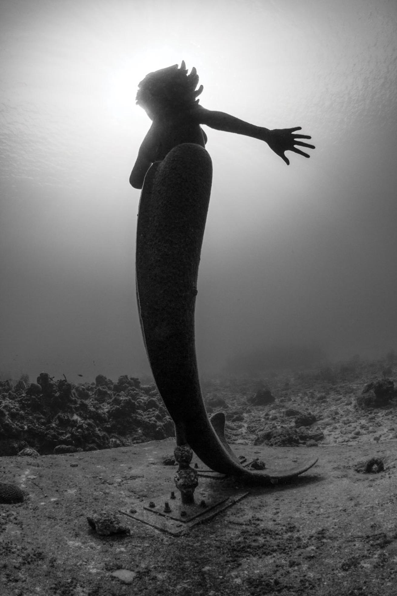 Underwater Mermaid Statue Cayman Islands