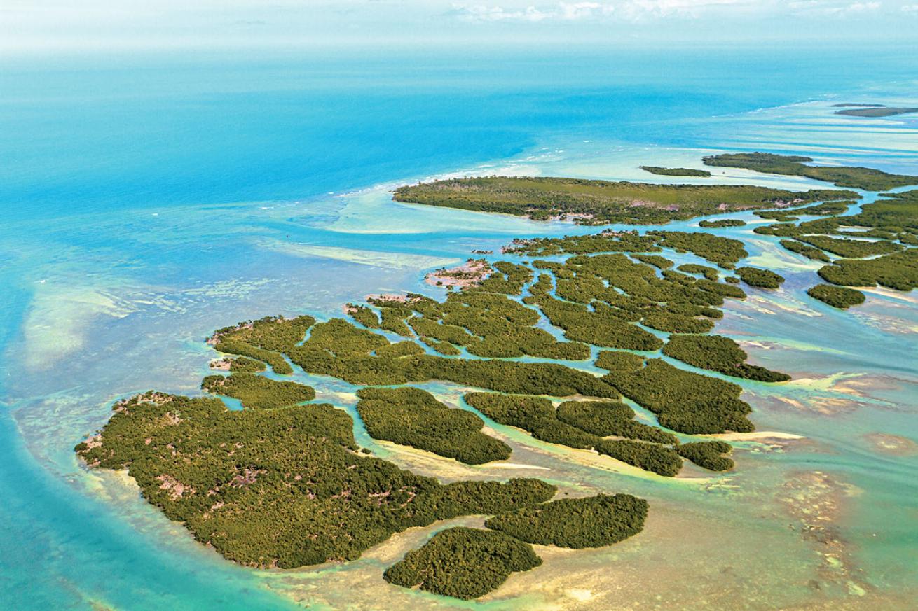 Florida Keys Barrier Reef