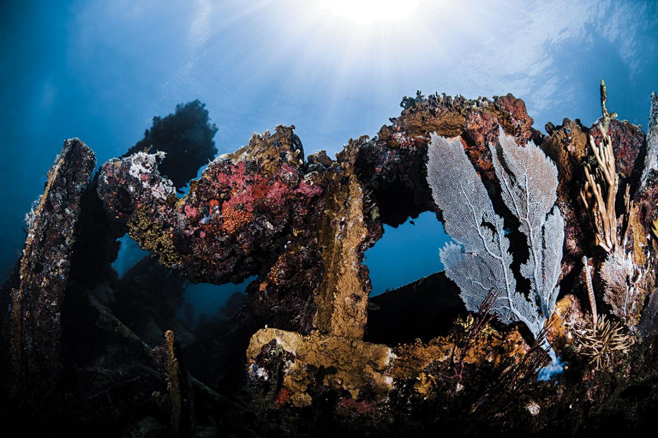 Florida Keys Shipwreck Diving