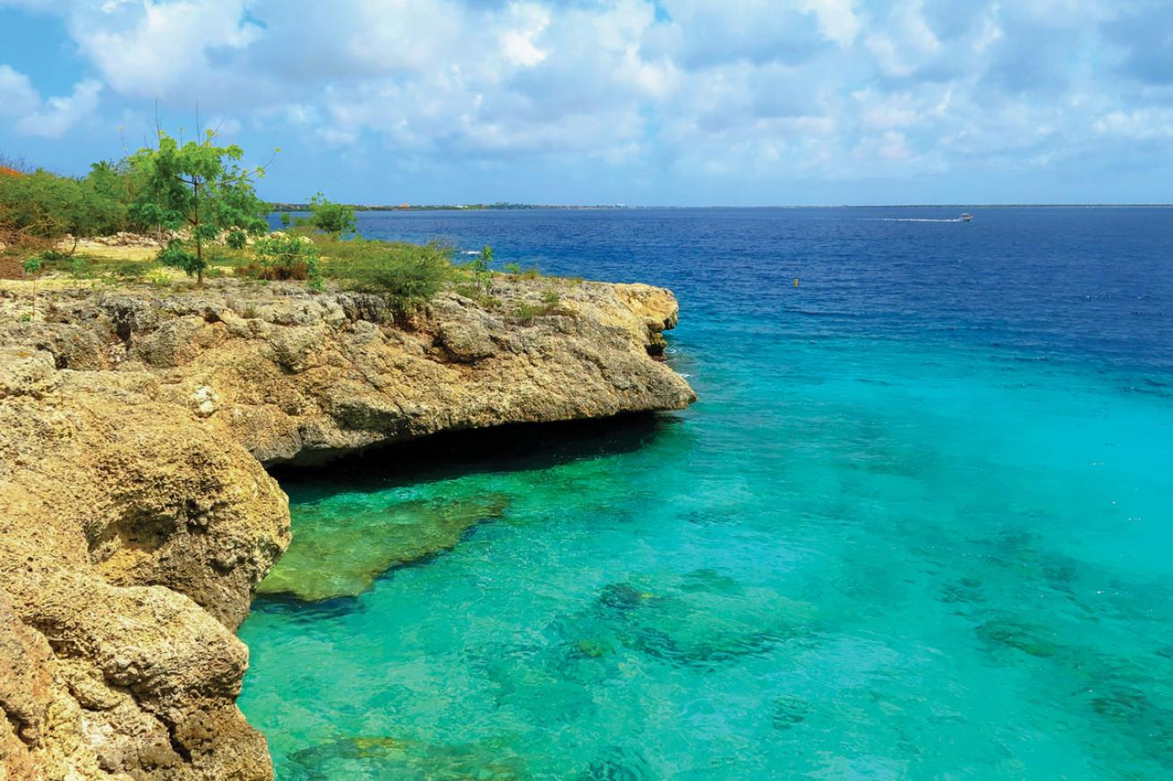 Roatan Tropical Dive Destination 