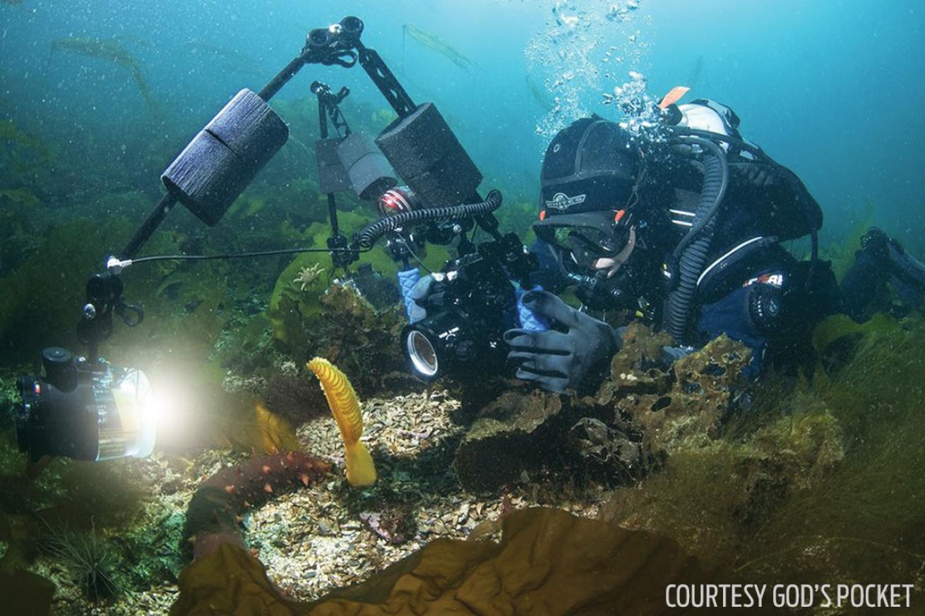 Underwater Photographer British Columbia