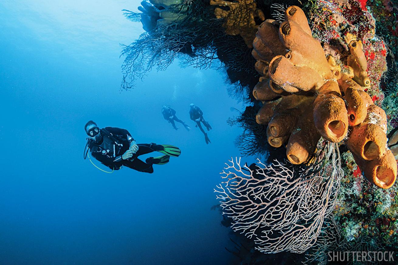 Indonesia Wall Scuba Diver