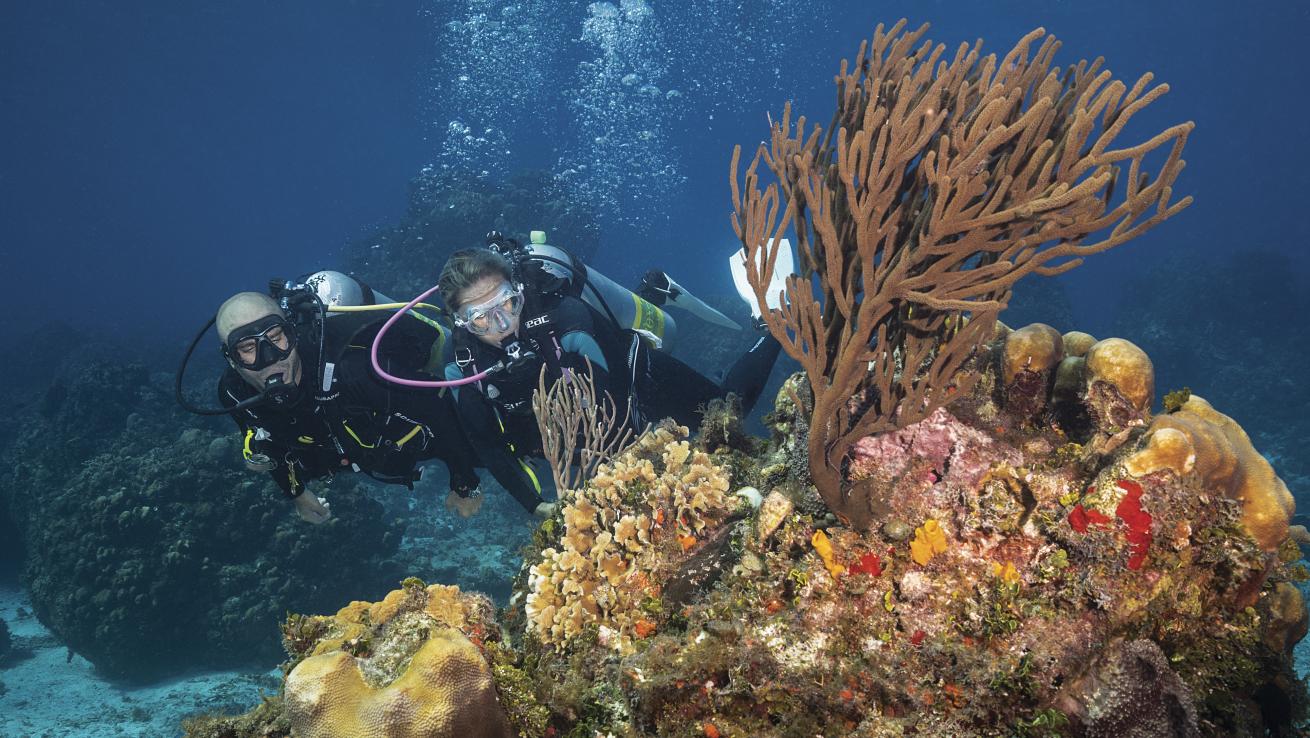 cozumel