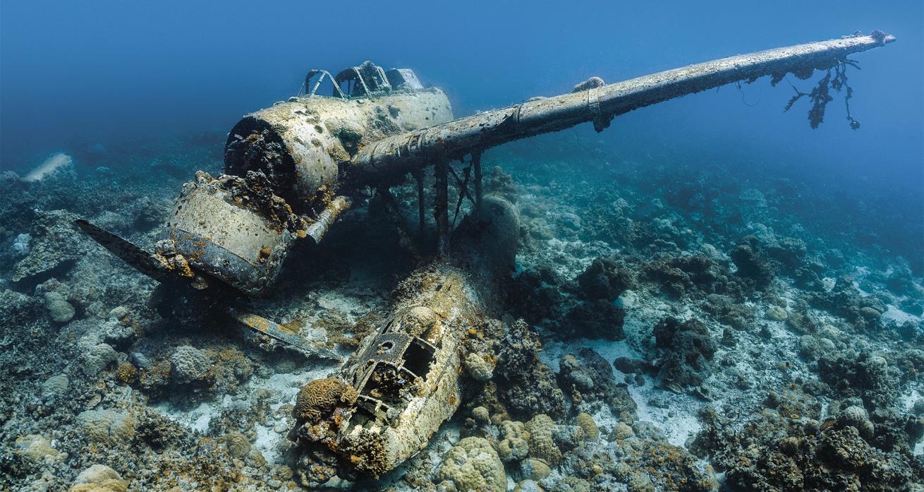 Palau scuba diving