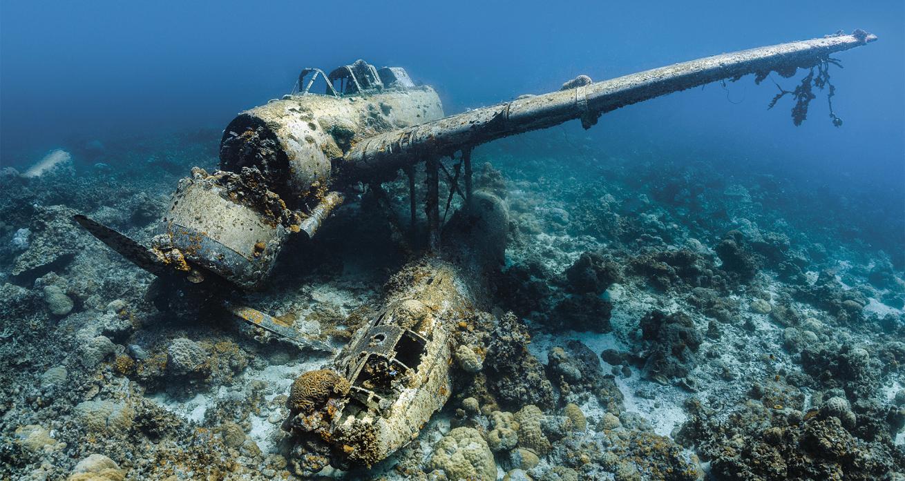 Palau scuba diving