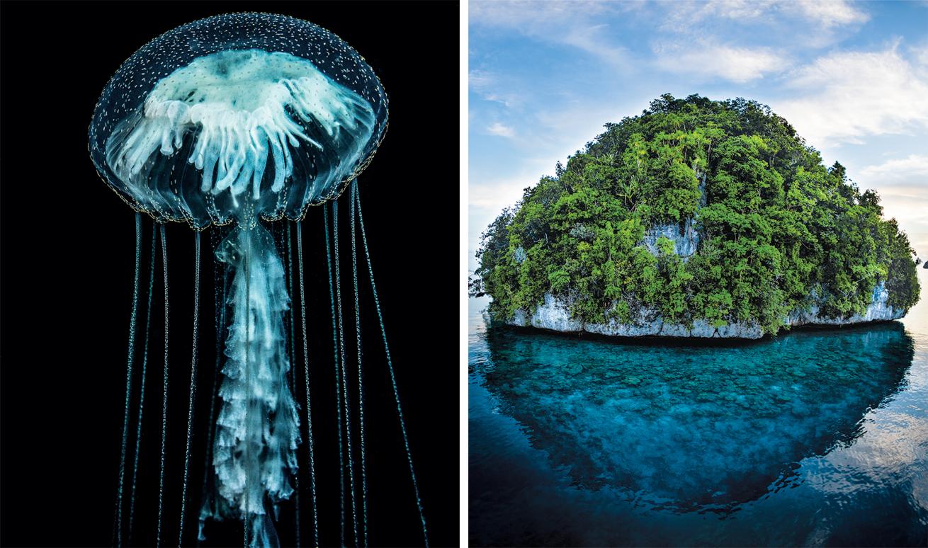 Palau scuba diving