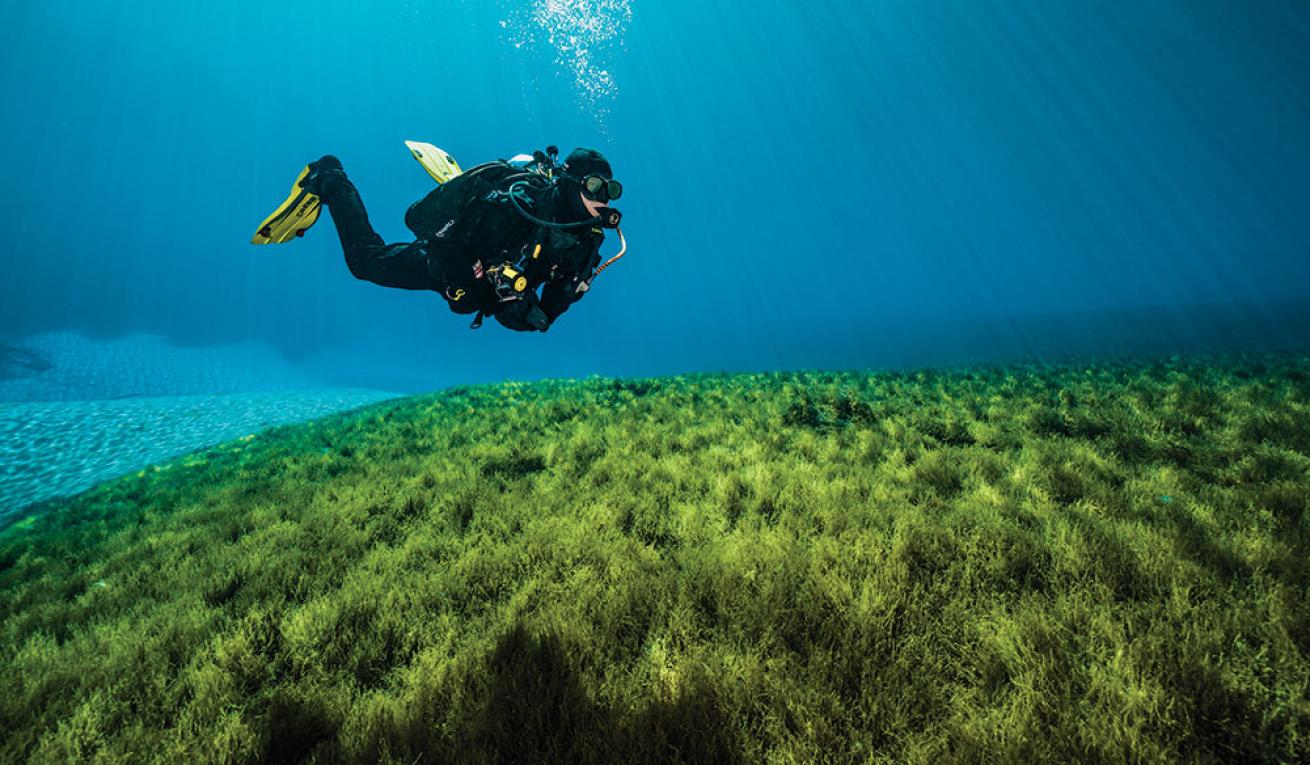 Where to Go Scuba Diving Around Portland Oregon Scuba Diving
