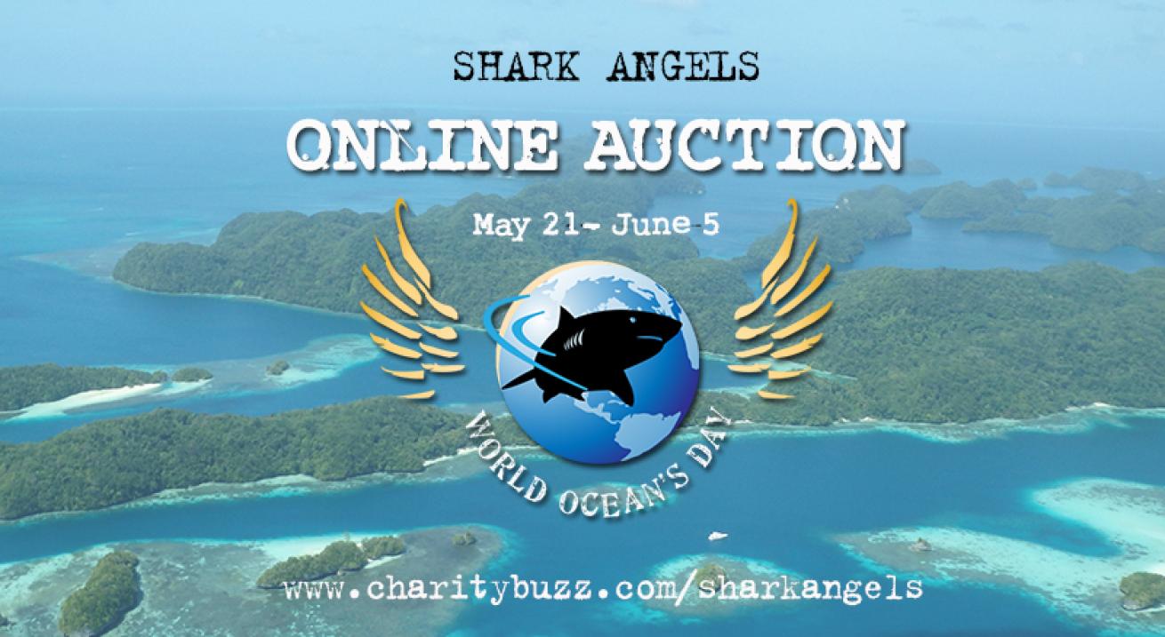 Shark Angels Online Auction