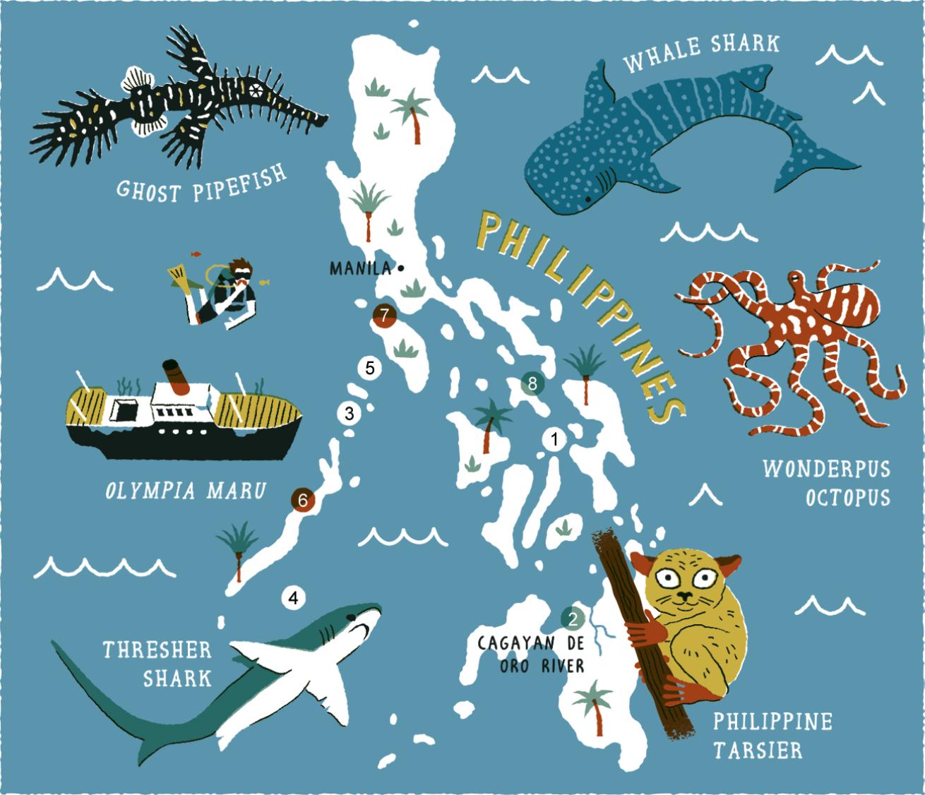 philippines diving