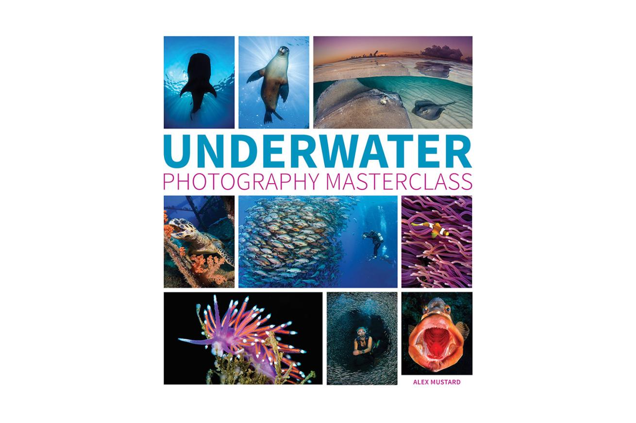 Underwater Photography Masterclass