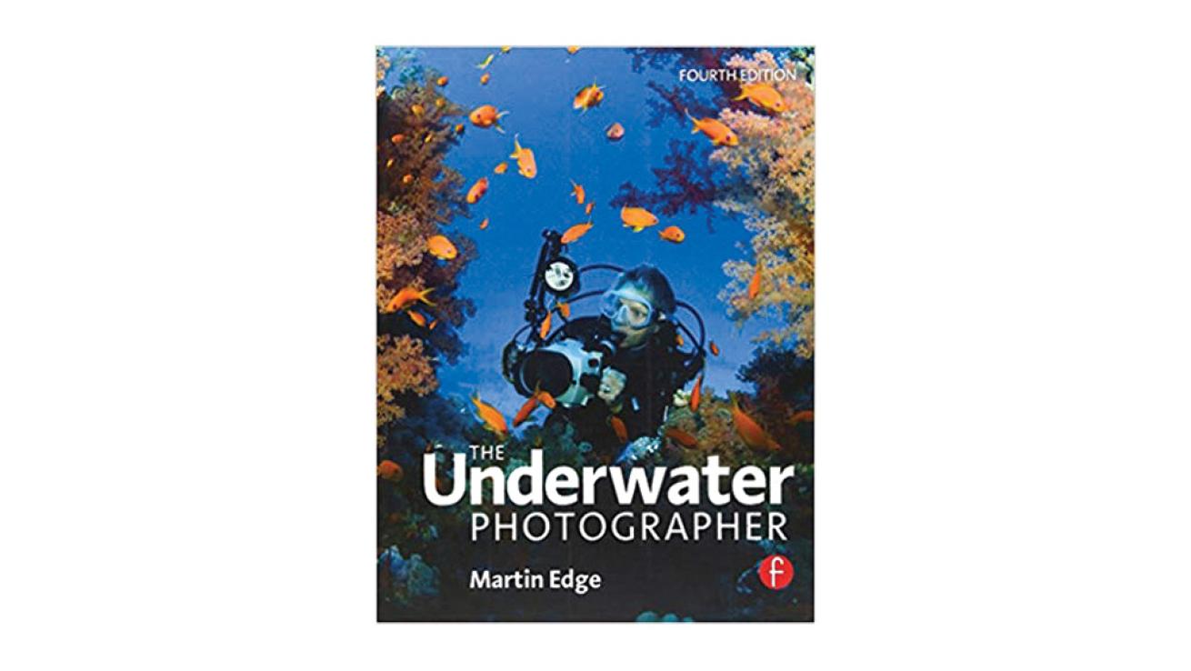 underwater photographer