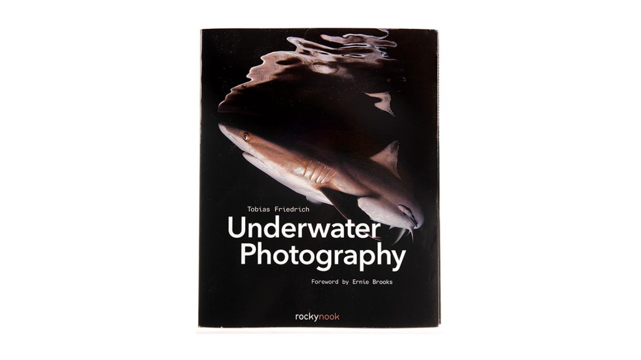 underwater photography