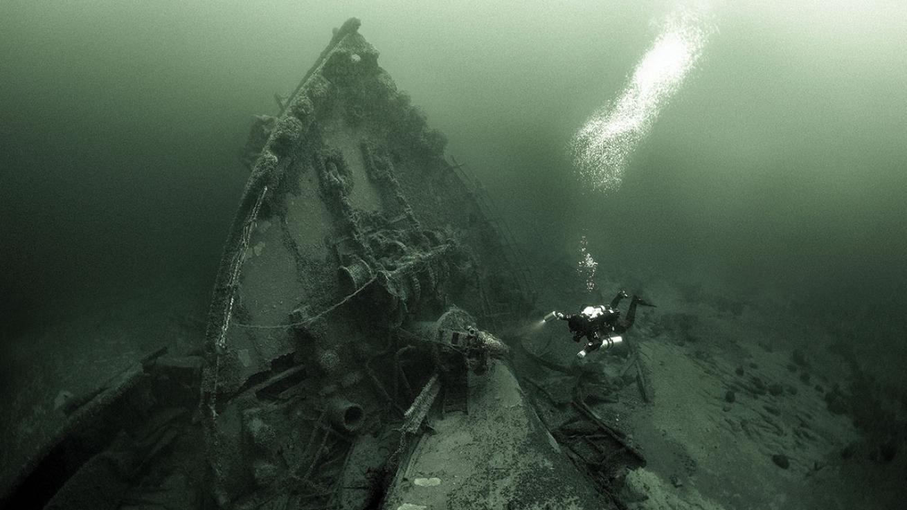 alex dawson underwater photographer of the year
