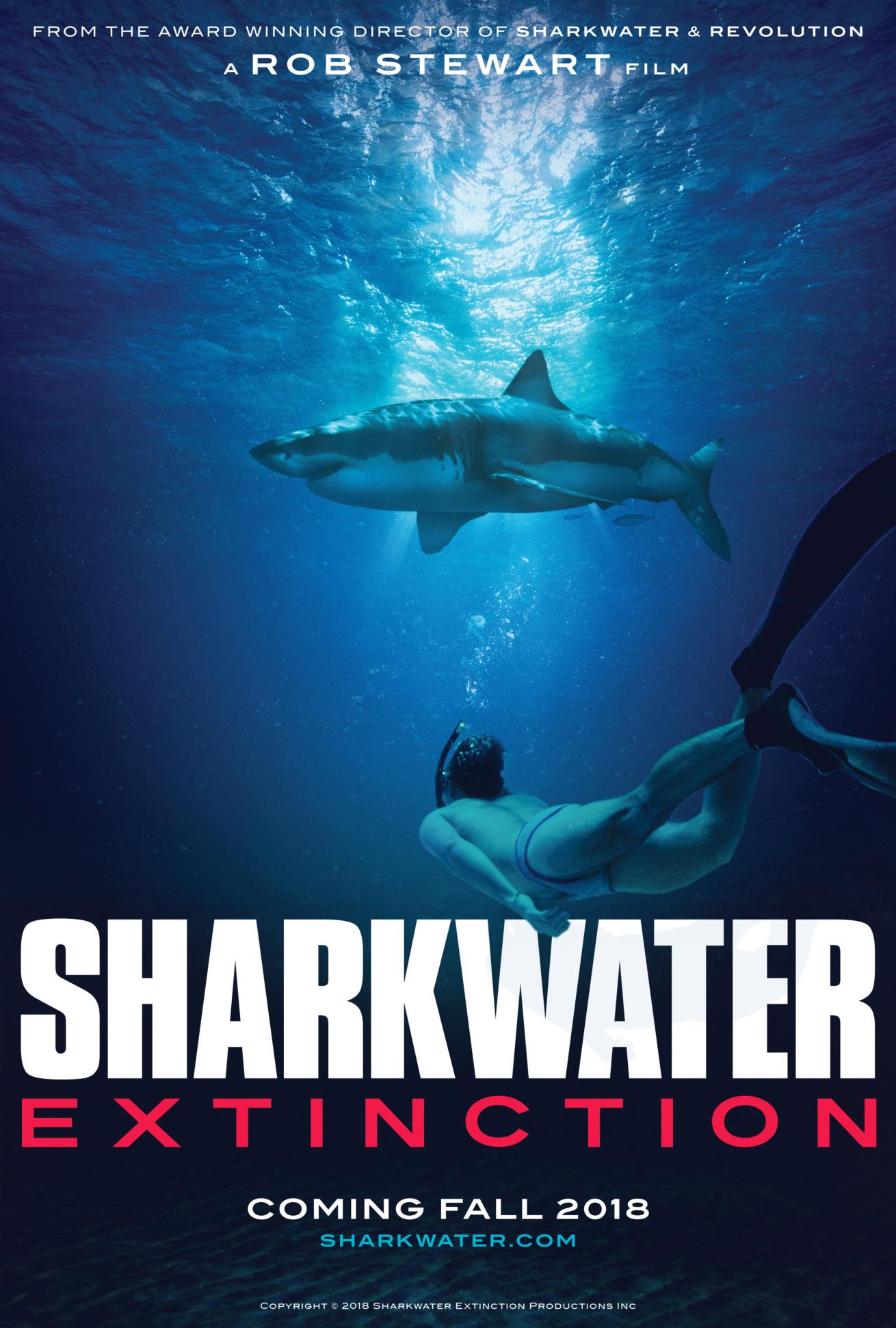 sharkwater extinction