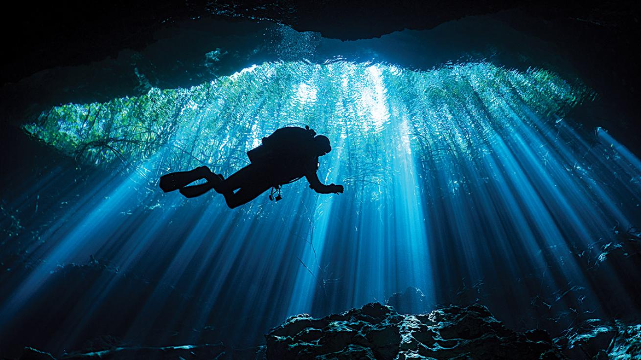 Pro Tips for Shooting Silhouette Photos Underwater