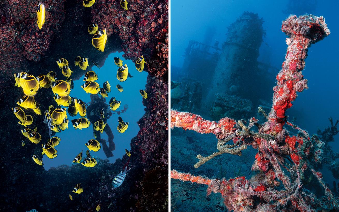 scuba diving in Hawaii and Florida