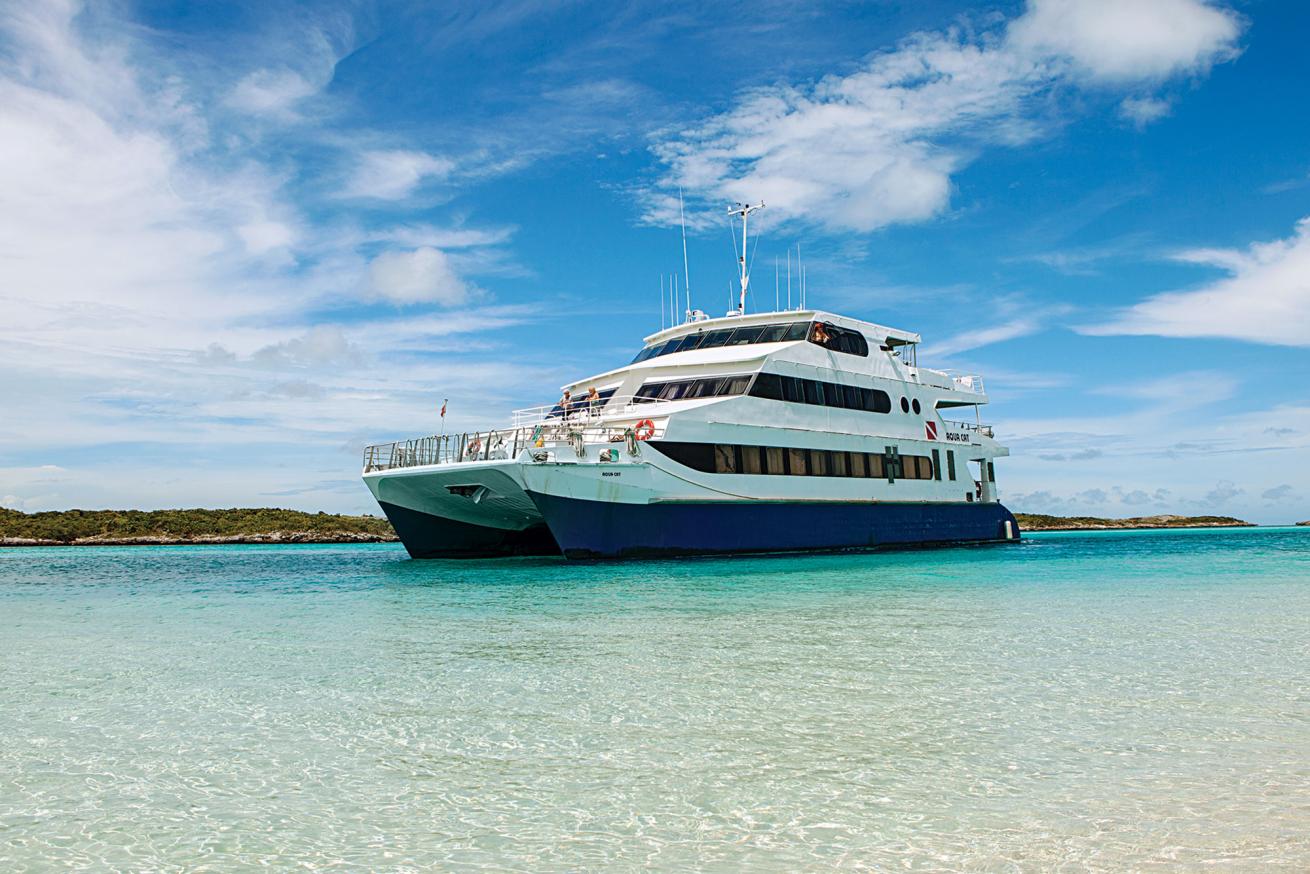 aqua cat liveaboard