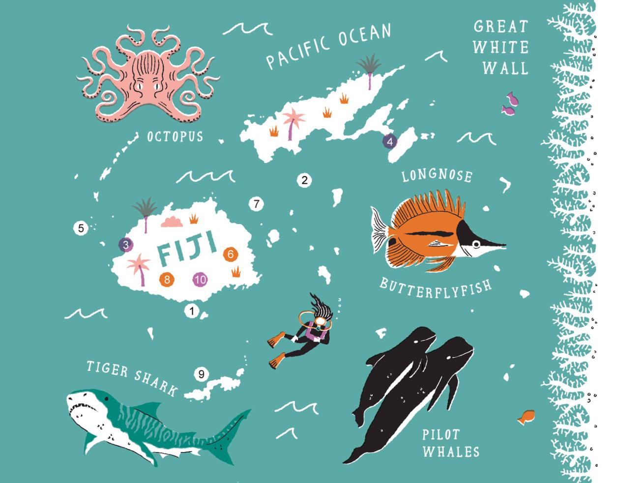 10 Reasons Scuba Divers Love Fiji Map
