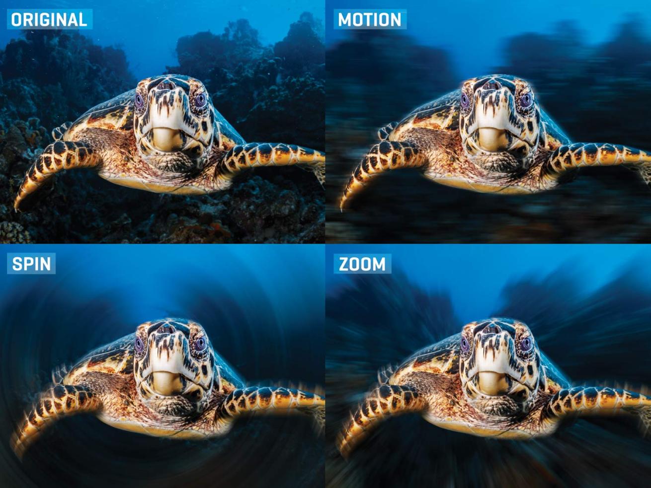 Motion, Spin and Zoom blur examples