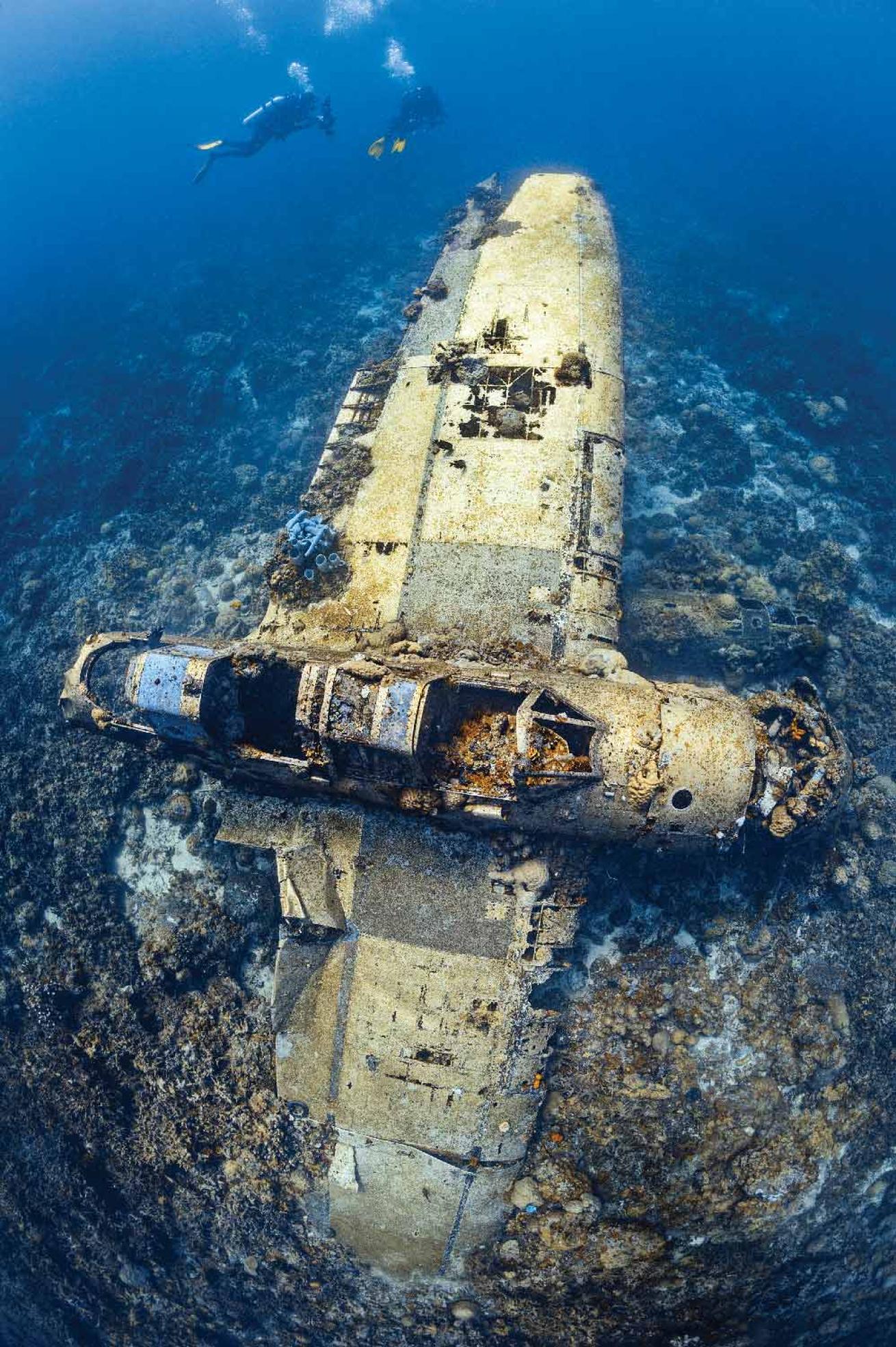underwater wrecked plane