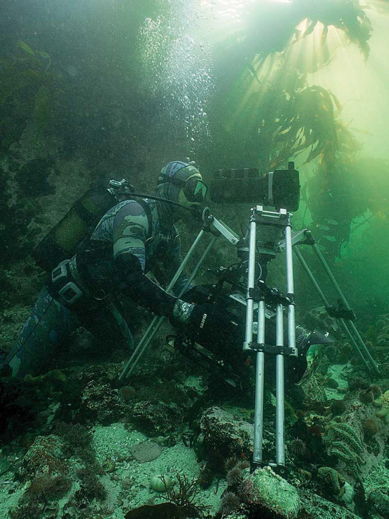 underwater filmmaking